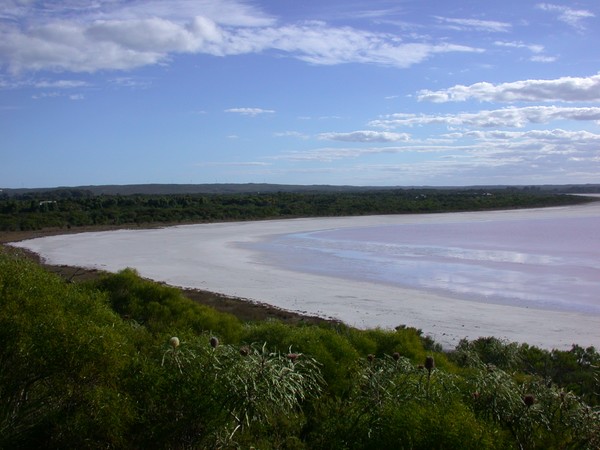 Pink Lake